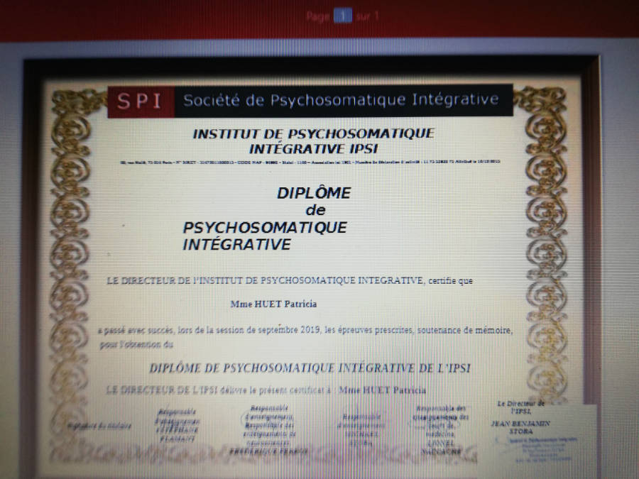 Institut de psychosomatique integrative